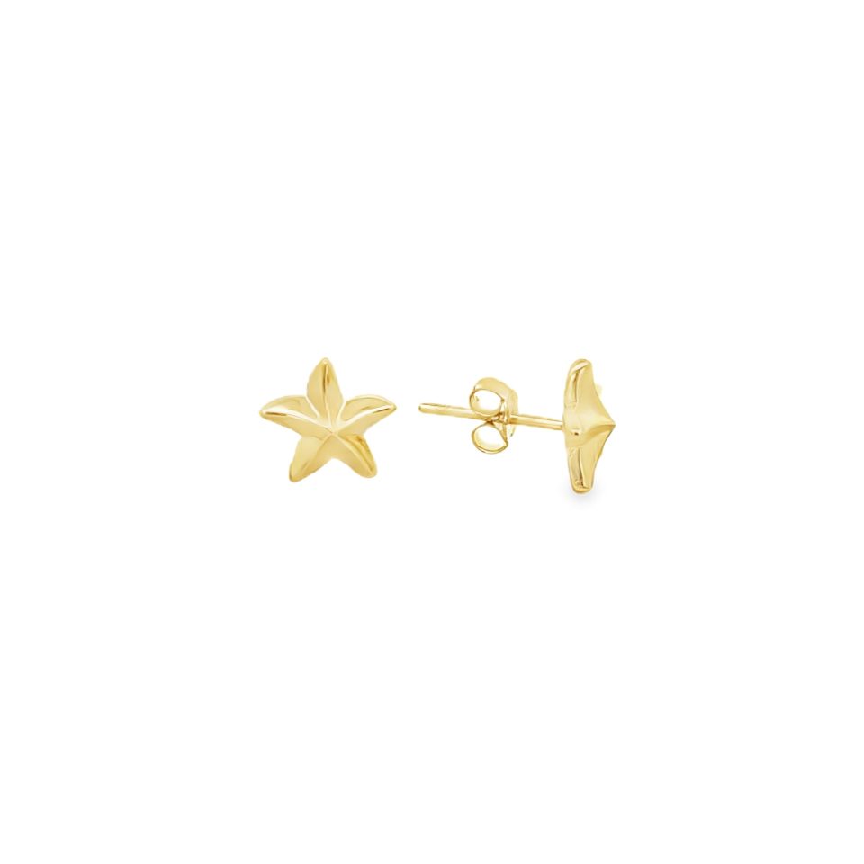 Orecchini Starfish
